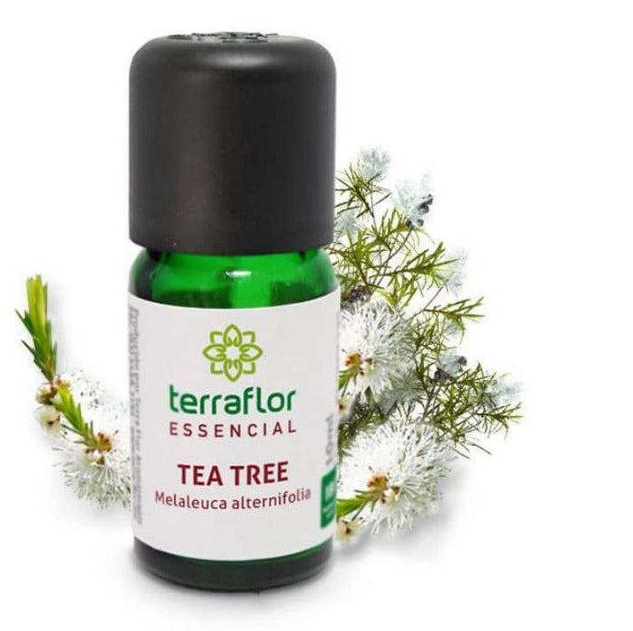 Óleo Essencial Tea Tree